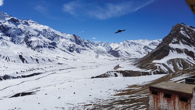 白昼飞过雪山的黑鸟